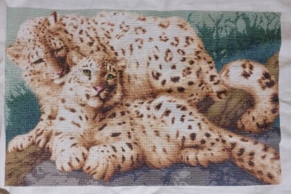 Снежные барсы