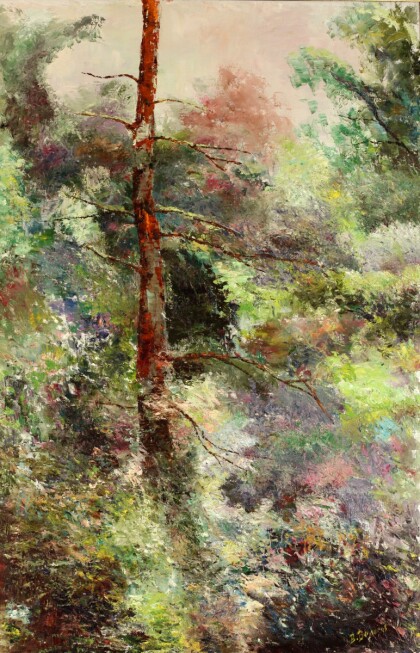 Одинокая сосна