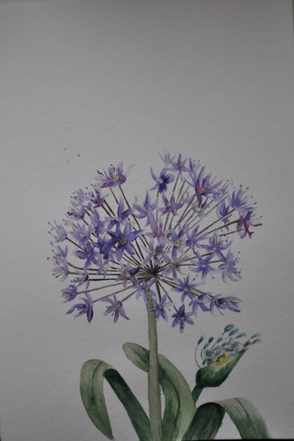 Декоративный лук