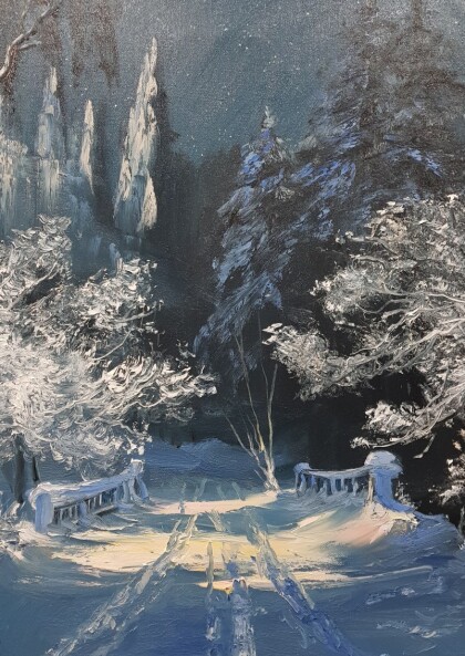 Звездная ночь