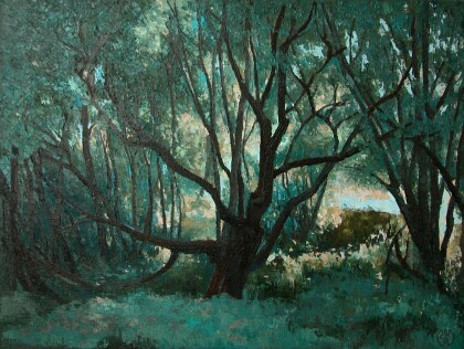 Парк "УЗКОЕ", дерева