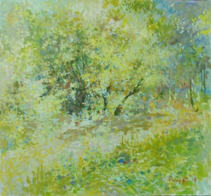 Деревья освещенной солцем