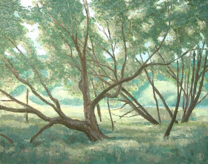 Парк "УЗКОЕ", дерева