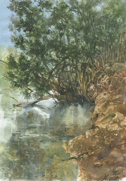 Речной берег