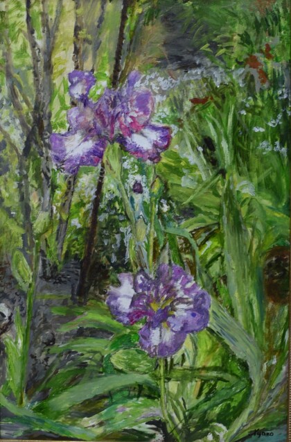 Ирисы
