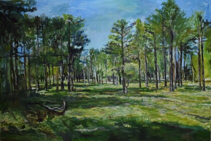 Дендрарий. Сельхозинститут в городе Краснодаре