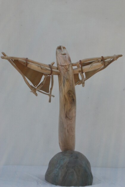 Желание летать