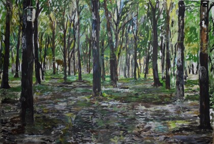 Лес. Сельхозинститут в городе Краснодаре 2019 год