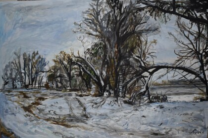 г. Краснодар, река Кубань 2017 год, зимний пейзаж №3