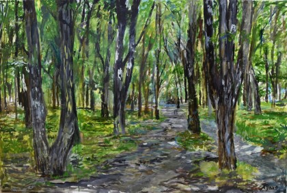 Роща. Сельхозинститут в городе Краснодаре