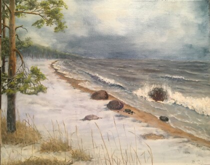 Балтика зимой