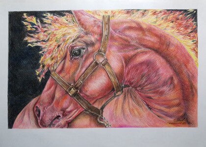 Год огненной лошади