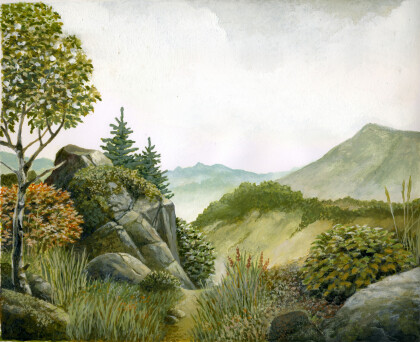 Безмолвный простор