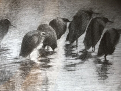 Птицы ( копия картины)