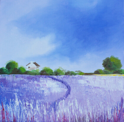 Лавандовые поля