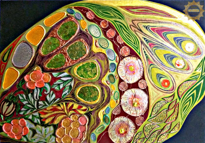 Крыло бабочки