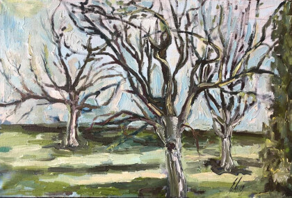 Яблони готовятся к весне