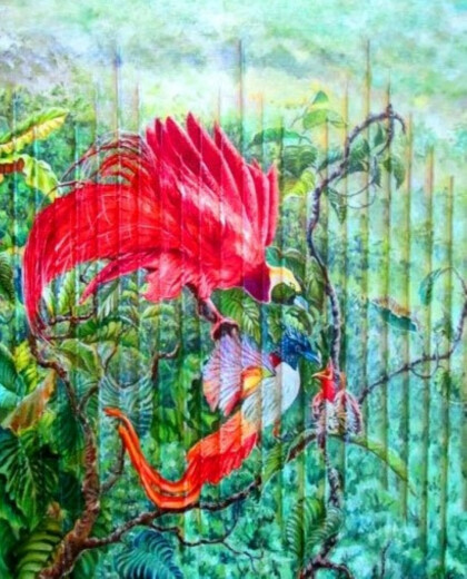 Родители. Райские птицы