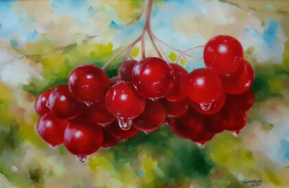 Кисть калины