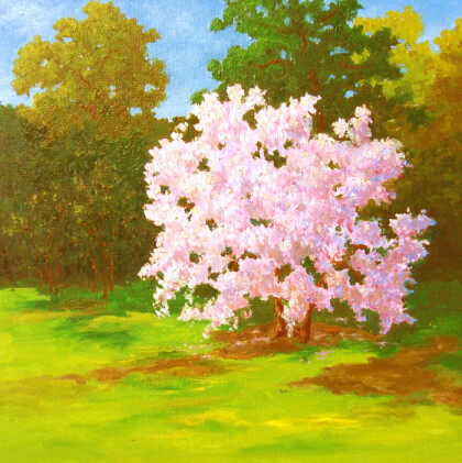 Розовое облако