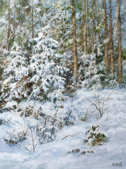 Зимушка-зима