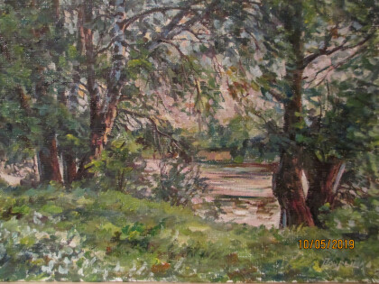 На Северском Донце