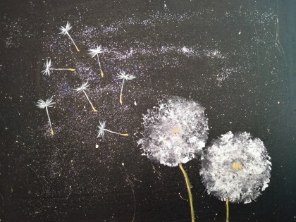 Одуванчики ПРОДАНЫ