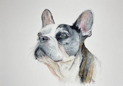 Портрет питомца