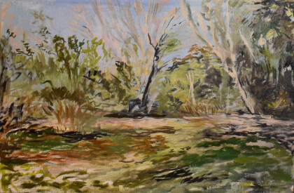 03/11/2019 на Кубани ( пейзаж № 1)