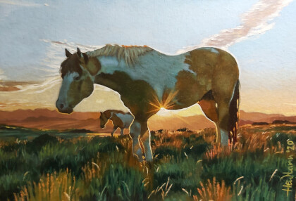 Дикие лошади