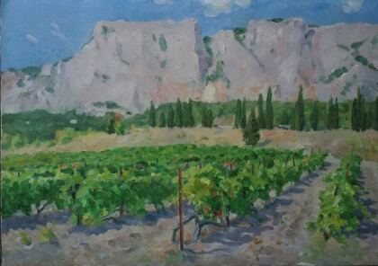 Крым.Виноградники.