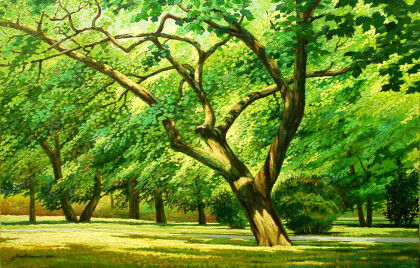 Зеленый шум