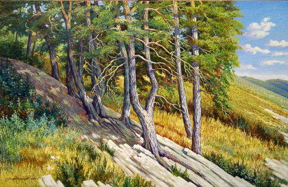 Скользящие сосны