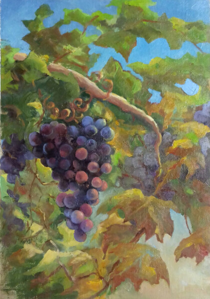 Виноградная лоза