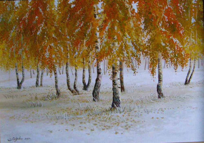 Нежданный снег