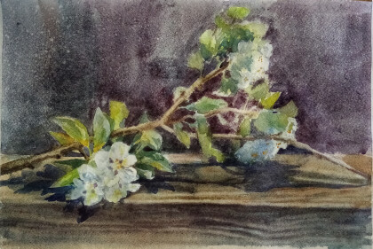 Яблоневый цвет