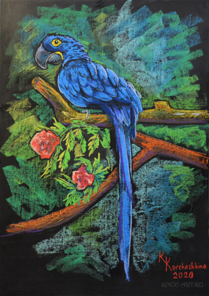 Синий попугай