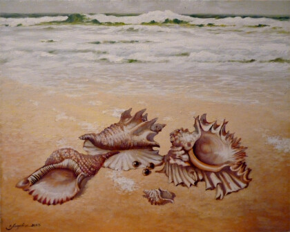 Море. Ракушки