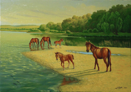 На отмелях Дона