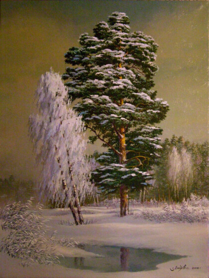 Зимняя сказка