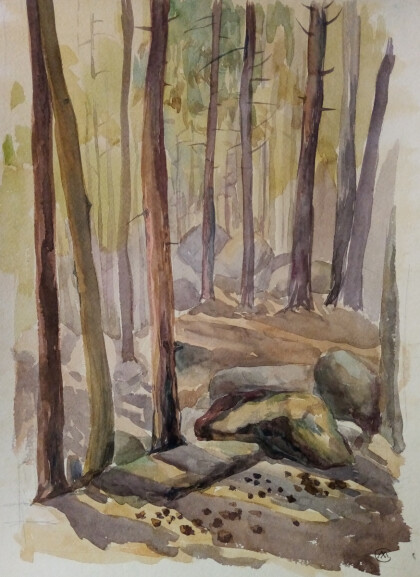 Лес. Солнце. Казахстан