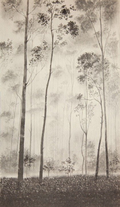 Утренний туман.