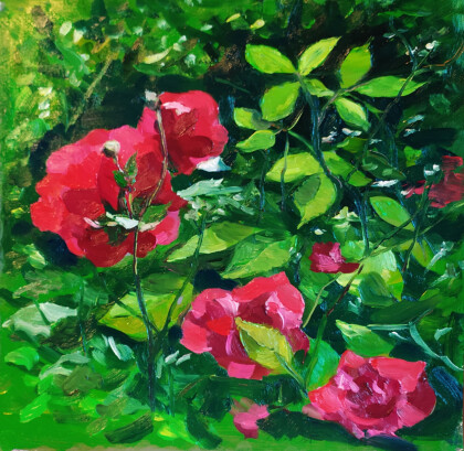 Куст алых роз