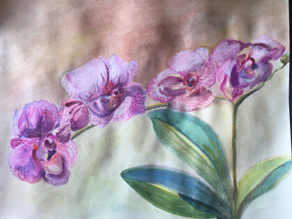 Одинокая орхи