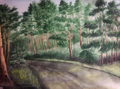 Дорога в лесу.