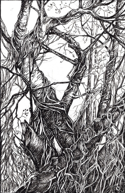 Хмель на ольхах