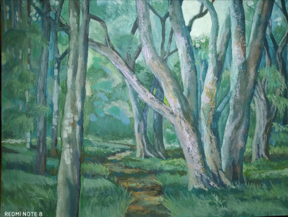 Тропинка среди эвкалиптов