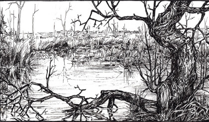 Затопленная марь