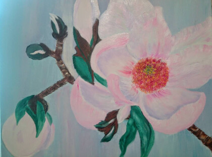 Цветы нежность