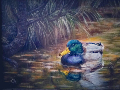 Утка в старом пруду